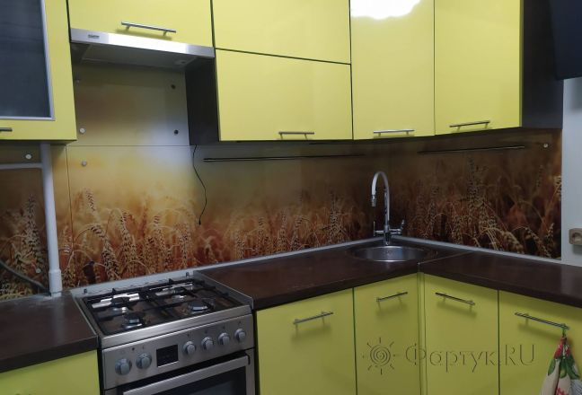 Скинали для кухни фото: колосья пшеницы, заказ #ИНУТ-5642, Желтая кухня. Изображение 214674