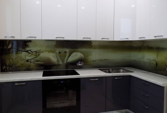 Стеновая панель фото: лебеди в пруду, заказ #УТ-271, Серая кухня. Изображение 87424