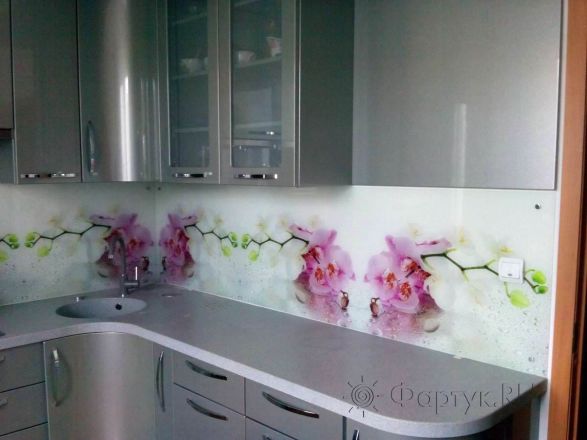 Стеновая панель фото: орхидей в капельках воды., заказ #S-408, Серая кухня.