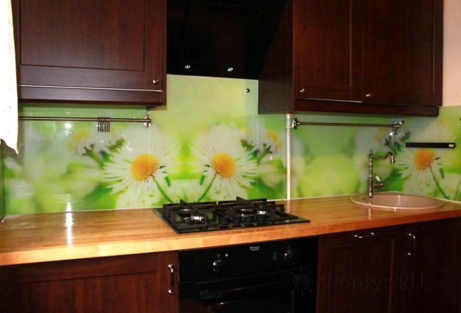 Фартук с фотопечатью фото: ромашки на светло зеленом фоне., заказ #УТ-26, Коричневая кухня. Изображение 112608