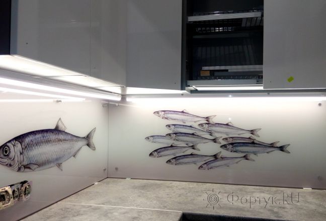 Фартук для кухни фото: рыбки, заказ #ГМУТ-241, Белая кухня.