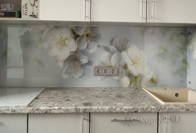 Фартук для кухни фото: цветущая вишня, заказ #ГОУТ-262, Белая кухня. Изображение 205148