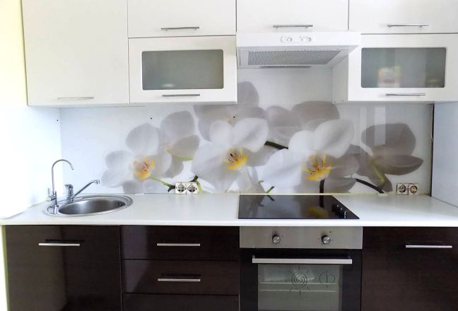 Фартук с фотопечатью фото: ветка белой орхидеи, заказ #УТ-367, Коричневая кухня. Изображение 80516