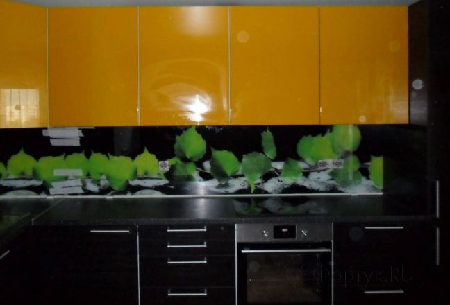 Скинали для кухни фото: ветка березы., заказ #SN-272, Желтая кухня. Изображение 111858