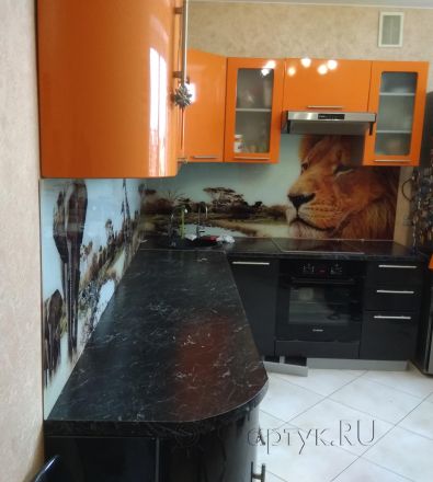 Фартук стекло фото: африка и животные, заказ #ИНУТ-855, Оранжевая кухня.