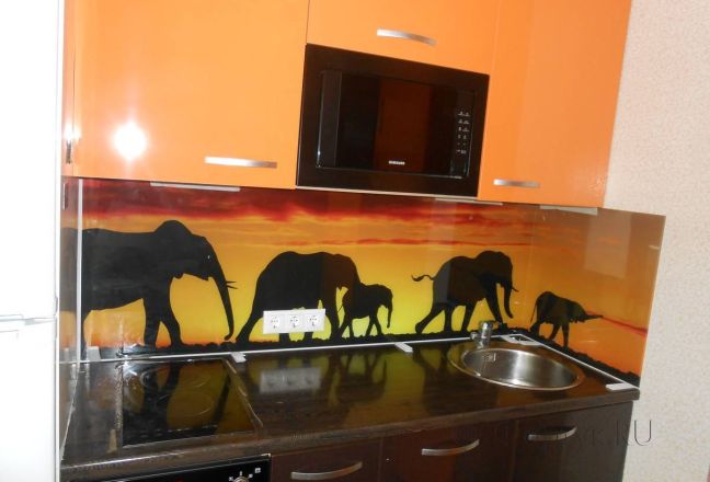 Фартук стекло фото: африканские слоны на фоне заката., заказ #S-296, Оранжевая кухня.