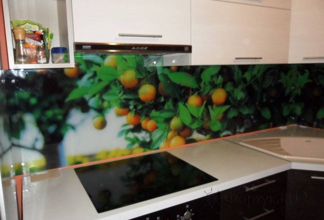 Фартук с фотопечатью фото: апельсиновое дерево., заказ #УТ-084, Коричневая кухня. Изображение 147052