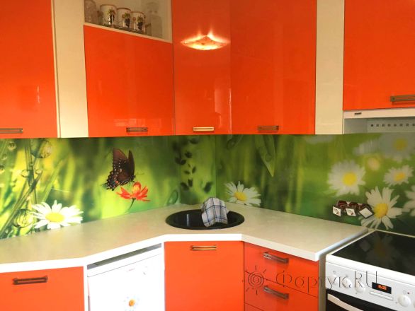 Фартук стекло фото: бабочки и цветы, заказ #КРУТ-215, Оранжевая кухня.