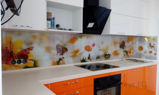 Фартук стекло фото: бабочки на ромашках, заказ #УТ-2212, Оранжевая кухня.