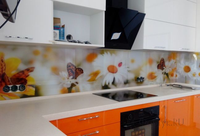 Фартук стекло фото: бабочки на ромашках, заказ #УТ-2212, Оранжевая кухня. Изображение 186508