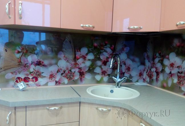 Фартук для кухни фото: бабочки на цветущих ветках, заказ #ИНУТ-560, Белая кухня. Изображение 103428