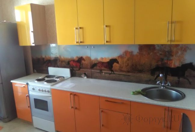 Фартук стекло фото: бегущие лошади, заказ #УТ-717, Оранжевая кухня. Изображение 85118