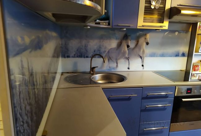Стеклянная фото панель: бегущие по снегу лошади, заказ #ИНУТ-7863, Синяя кухня. Изображение 184416