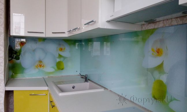 Скинали для кухни фото: белая орхидея, заказ #УТ-1562, Желтая кухня.