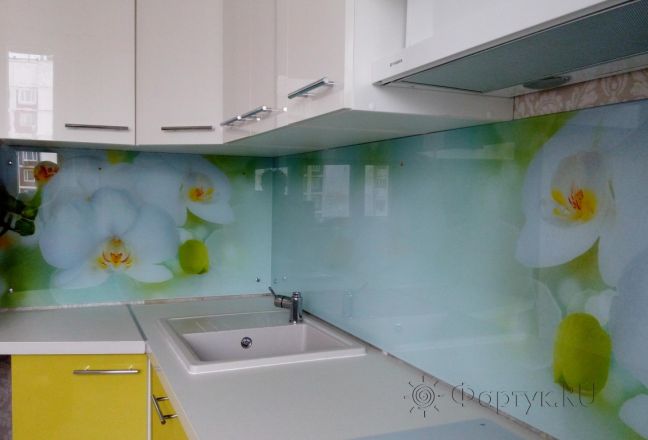 Скинали для кухни фото: белая орхидея, заказ #УТ-1562, Желтая кухня.
