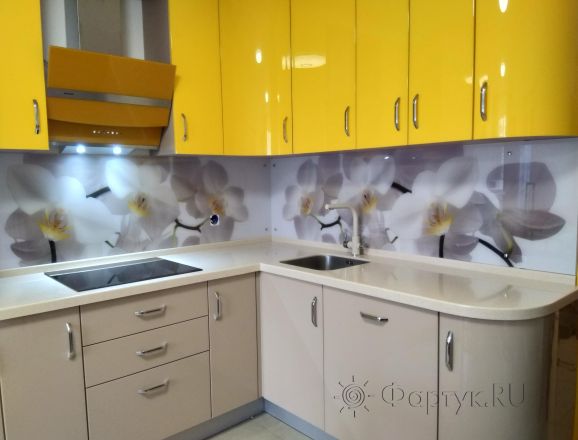 Скинали для кухни фото: белая орхидея, заказ #ИНУТ-1763, Желтая кухня.