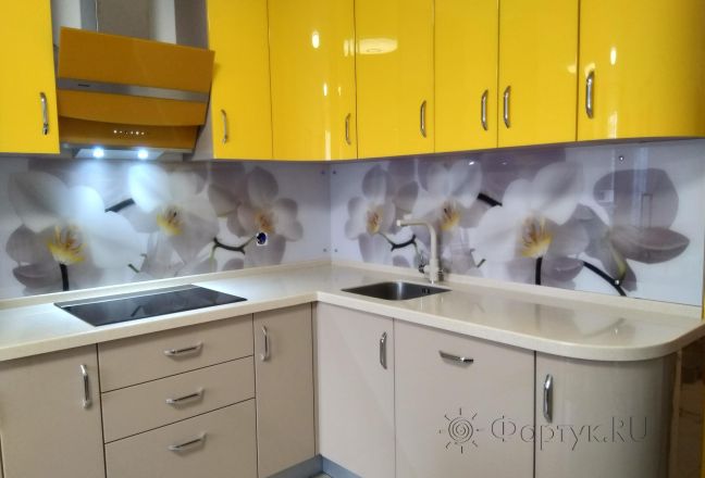 Скинали для кухни фото: белая орхидея, заказ #ИНУТ-1763, Желтая кухня.
