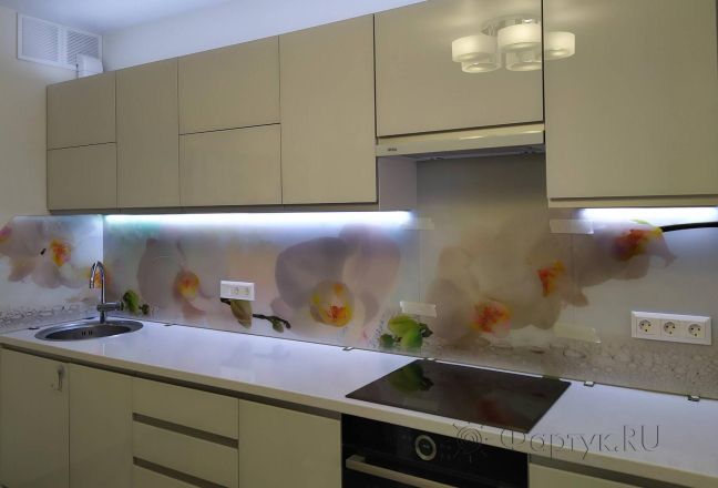 Фартук для кухни фото: белые красивые орхидеи с каплями воды, заказ #ИНУТ-11902, Белая кухня. Изображение 199098