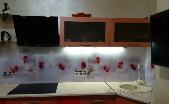 Фартук стекло фото: белые орхидеи, заказ #УТ-958, Оранжевая кухня.