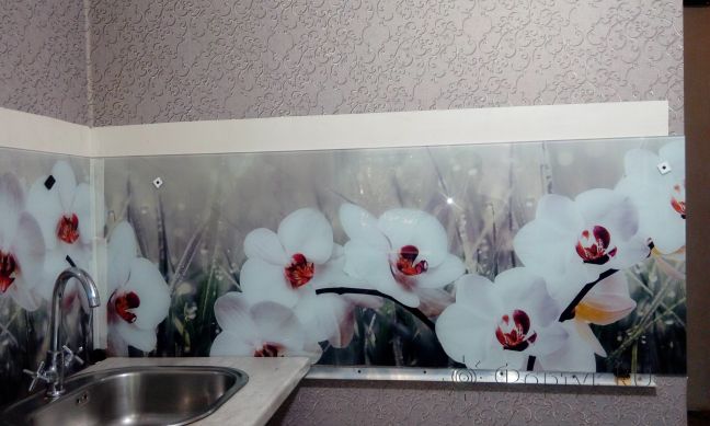 Фартук для кухни фото: белые орхидеи, заказ #ГМУТ-475, Белая кухня.