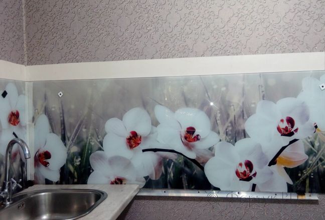 Фартук для кухни фото: белые орхидеи, заказ #ГМУТ-475, Белая кухня. Изображение 204382