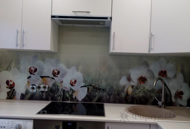 Фартук для кухни фото: белые орхидеи, заказ #ИНУТ-336, Белая кухня. Изображение 204382