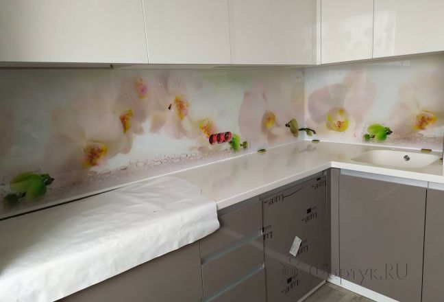Стеновая панель фото: белые орхидеи, заказ #ИНУТ-4380, Серая кухня. Изображение 199098
