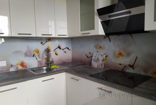 Фартук для кухни фото: белые орхидеи на бежевом фоне, заказ #ИНУТ-12765, Белая кухня. Изображение 198042