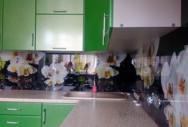 Скинали для кухни фото: белые орхидеи на черном фоне, заказ #ИНУТ-850, Зеленая кухня. Изображение 80510