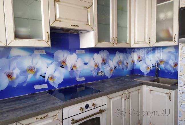 Стеклянная фото панель: белые орхидеи на голубом абстрактном фоне, заказ #ИНУТ-8652, Синяя кухня.