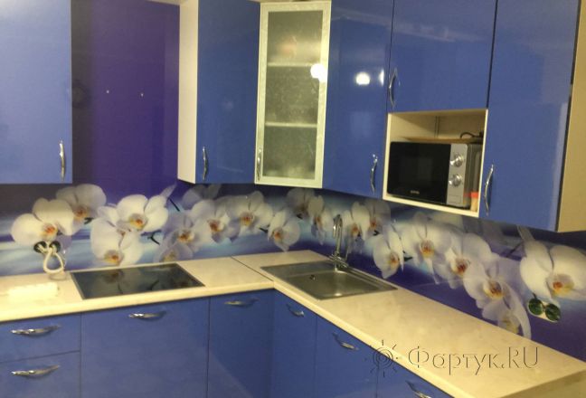 Стеклянная фото панель: белые орхидеи на синем фоне, заказ #КРУТ-1898, Синяя кухня. Изображение 247092