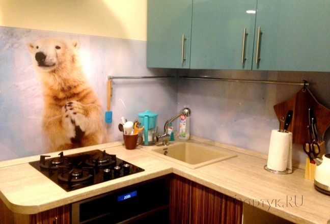 Стеклянная фото панель: белый медведь, заказ #УТ-1808, Синяя кухня.