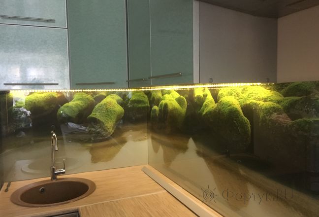 Стеклянная фото панель: берег у зеленых камней, заказ #КРУТ-570, Синяя кухня. Изображение 203040
