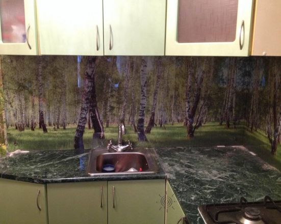 Скинали для кухни фото: березовая роща., заказ #S-1017, Зеленая кухня.