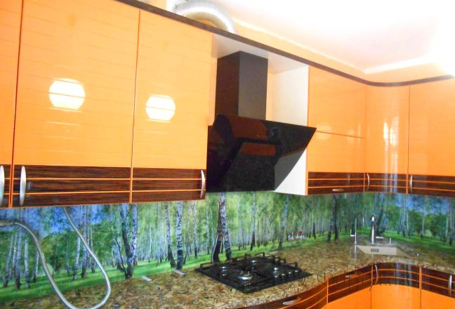 Фартук стекло фото: березовая роща , заказ #S-209, Оранжевая кухня.