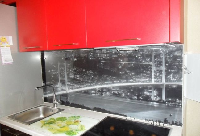 Скинали фото: черно-белая панорама моста., заказ #УТ-092, Красная кухня. Изображение 111116