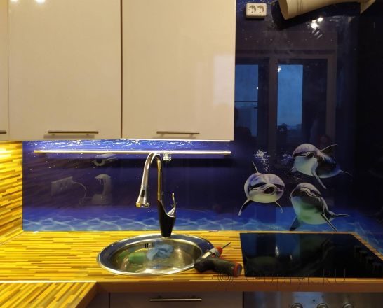 Фартук с фотопечатью фото: дельфины, заказ #ИНУТ-4507, Коричневая кухня.