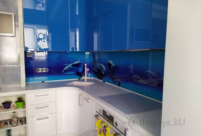 Стеклянная фото панель: дельфины, заказ #ИНУТ-5833, Синяя кухня.