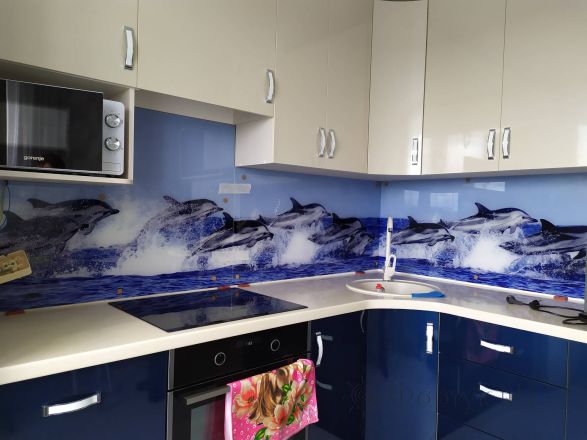 Стеклянная фото панель: дельфины, заказ #ИНУТ-6861, Синяя кухня.
