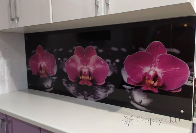 Фартук фото: фиолетовые орхидеи, заказ #ИНУТ-4893, Фиолетовая кухня. Изображение 184132