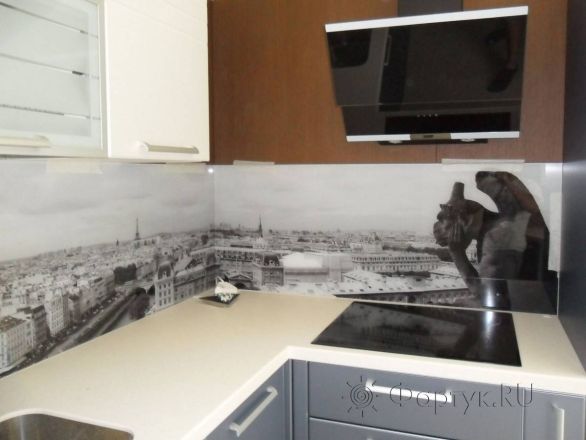 Стеновая панель фото: горгулья, вид на париж, заказ #SN-53, Серая кухня.