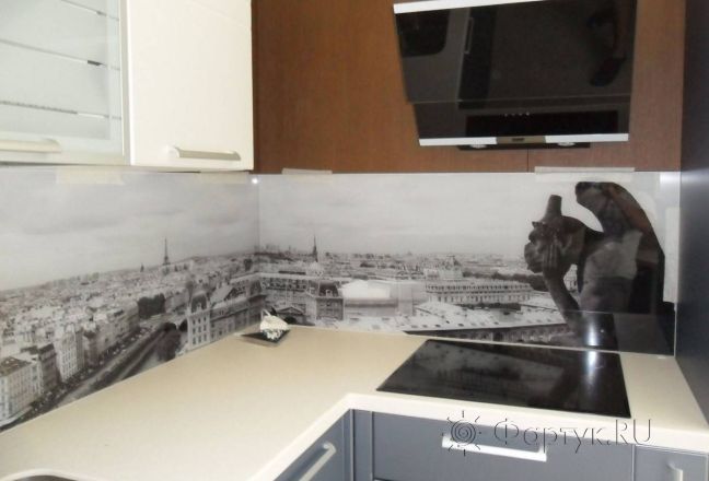 Стеновая панель фото: горгулья, вид на париж, заказ #SN-53, Серая кухня. Изображение 110816