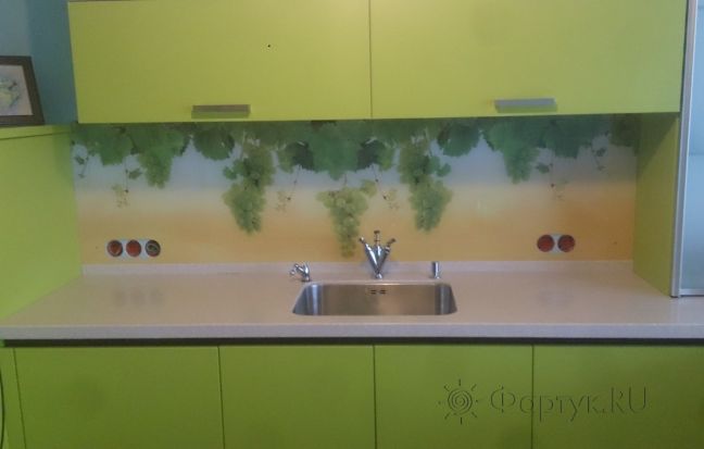 Скинали для кухни фото: грозди винограда, заказ #УТ-414, Зеленая кухня.