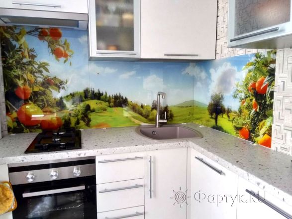 Фартук для кухни фото: холм, заказ #ИНУТ-1479, Белая кухня.
