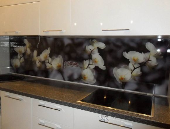 Фартук для кухни фото: хрупкие орхидеи , заказ #S-960, Белая кухня.
