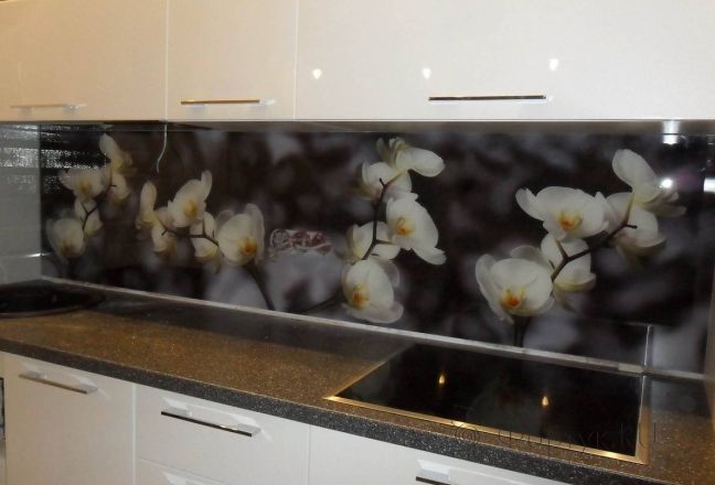 Фартук для кухни фото: хрупкие орхидеи , заказ #S-960, Белая кухня. Изображение 112884