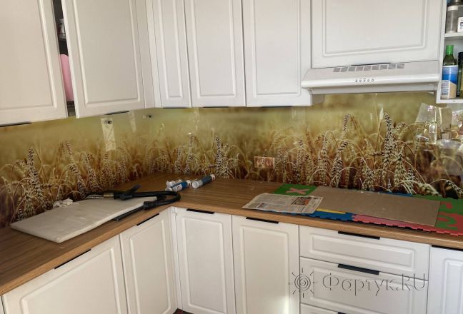 Фартук для кухни фото: колосистое поле под лучами восходящего солнца, заказ #КРУТ-3805, Белая кухня. Изображение 214674