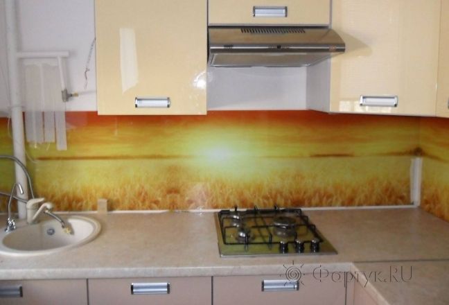 Скинали для кухни фото: колосья пшеницы., заказ #S-1266, Желтая кухня.