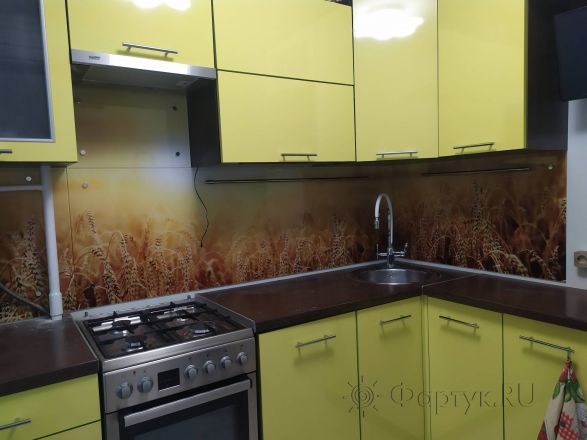 Скинали для кухни фото: колосья пшеницы, заказ #ИНУТ-5642, Желтая кухня.