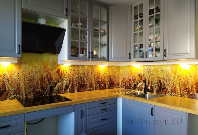 Стеновая панель фото: колосья пшеницы, заказ #ИНУТ-6538, Серая кухня. Изображение 180964